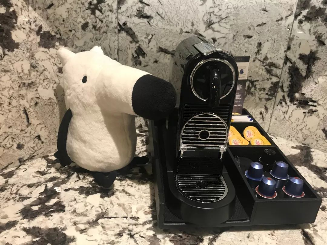 什么邮轮,哪个邮轮最好吃