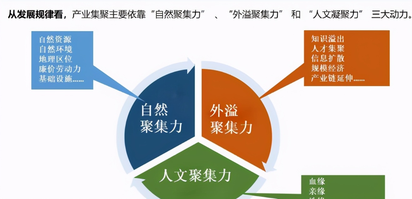 杭州湾新区企业排行榜,杭州湾新区顶级公司
