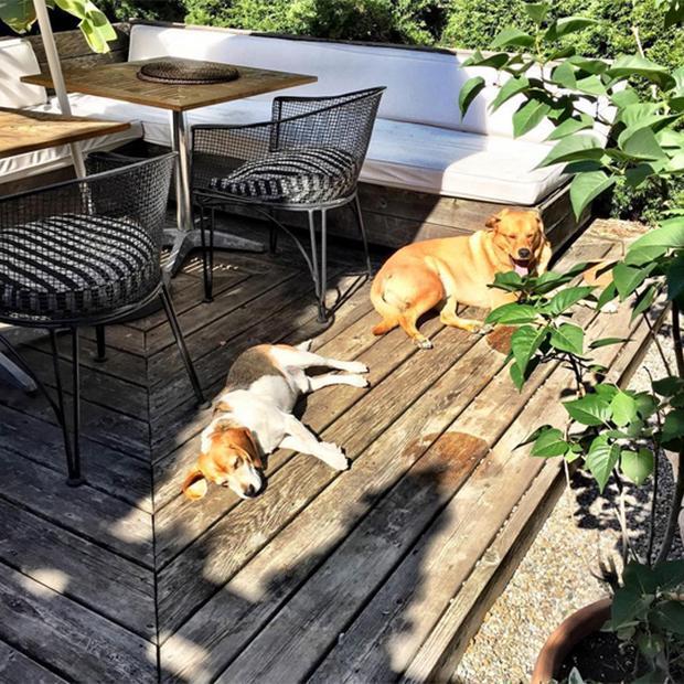 梅根卧室,走进英国王妃梅根的别墅