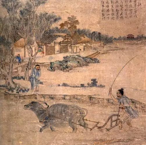 我国是怎么治蝗虫的,为什么治理蝗虫很重要