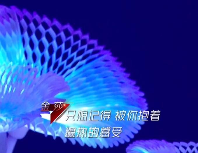 宁静乘风破浪的姐姐万茜出场,乘风破浪宁静黄龄万茜唱歌