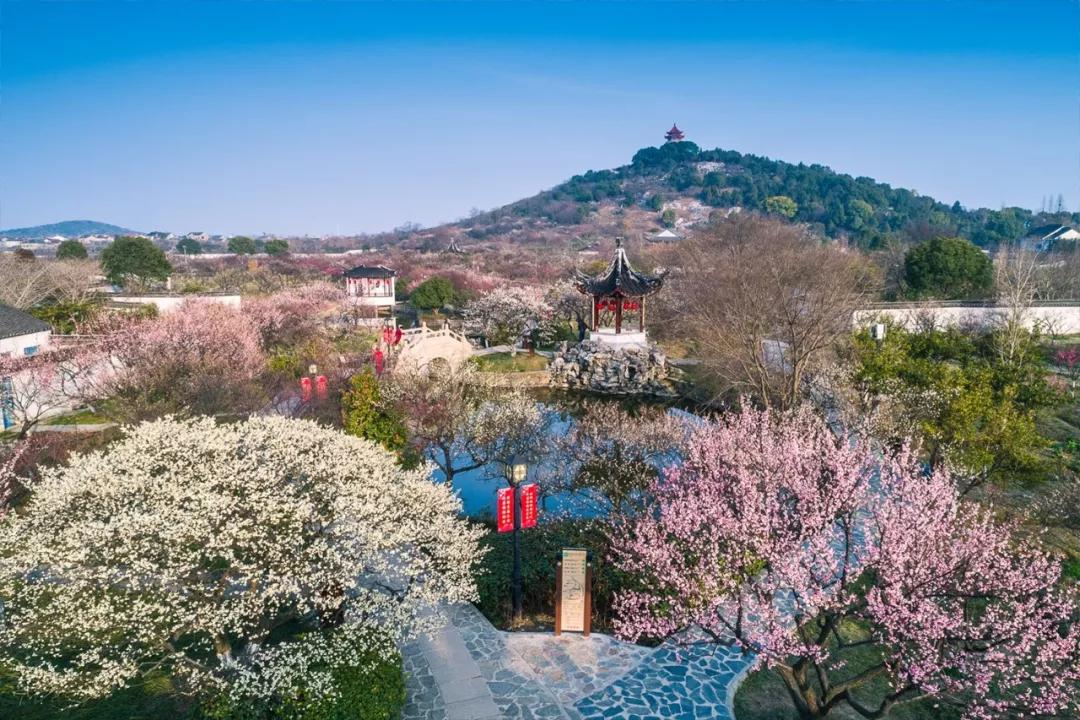 苏州西山农家乐旅游网官网,苏州西山农家乐民宿游