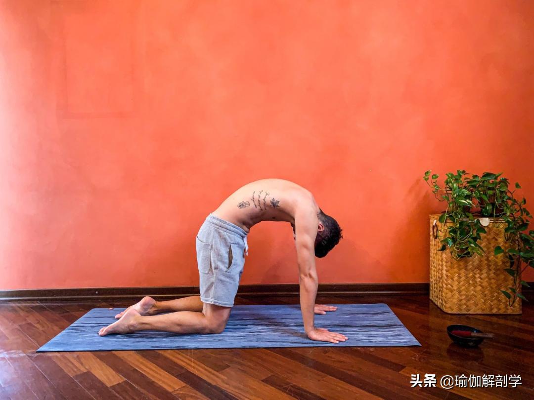 男士初学瑜伽从零开始,男士练瑜伽从零开始