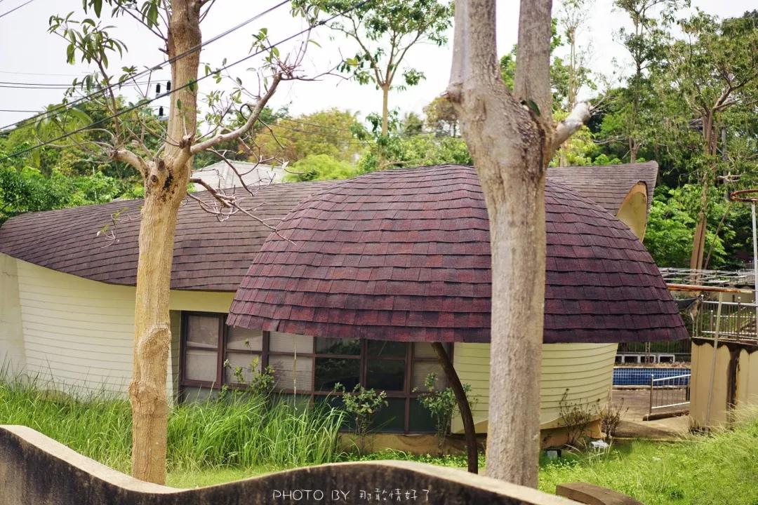 美国艺术家老夫妇定居苏梅岛十年，教游客画垃圾桶，唤醒环保意识