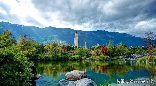 花卉市场购物,亚洲第一花卉交易市场排名