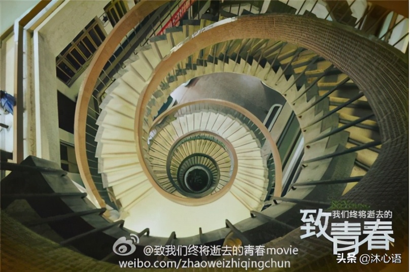 新高考志愿填报学校排名,新高考志愿报考院校专业全攻略