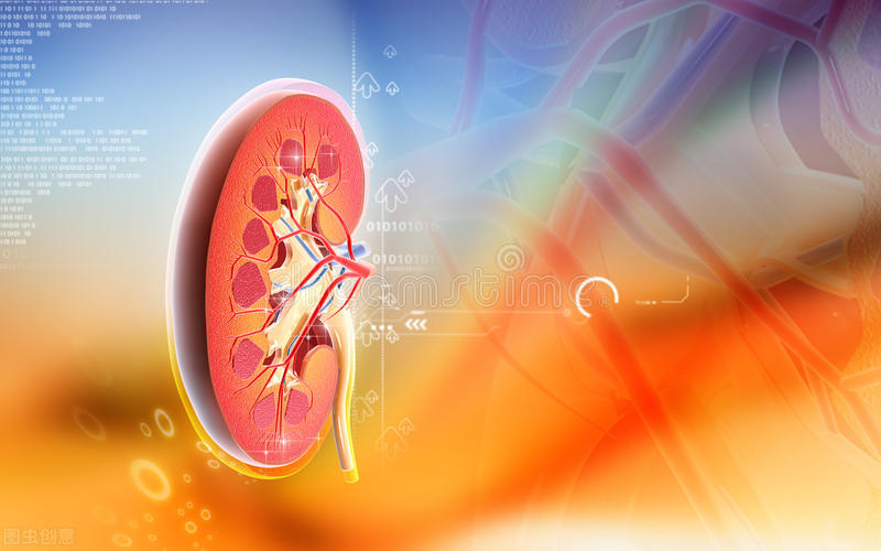 补肾养肾方法大全,肾不好的女士补肾最好方法