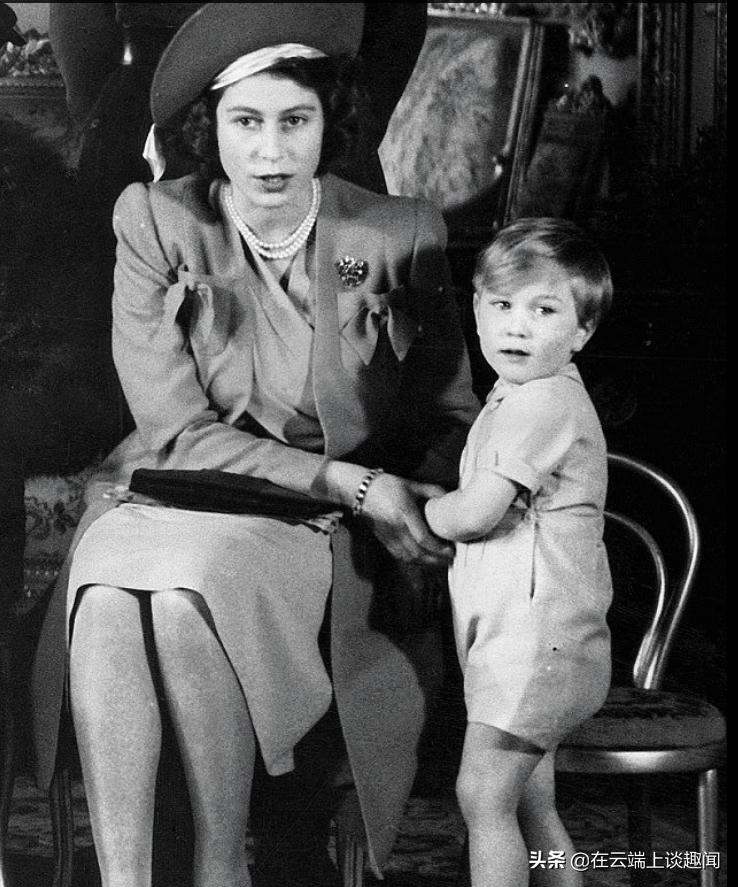 英国查尔斯与威廉王子,英国查尔斯威廉王子