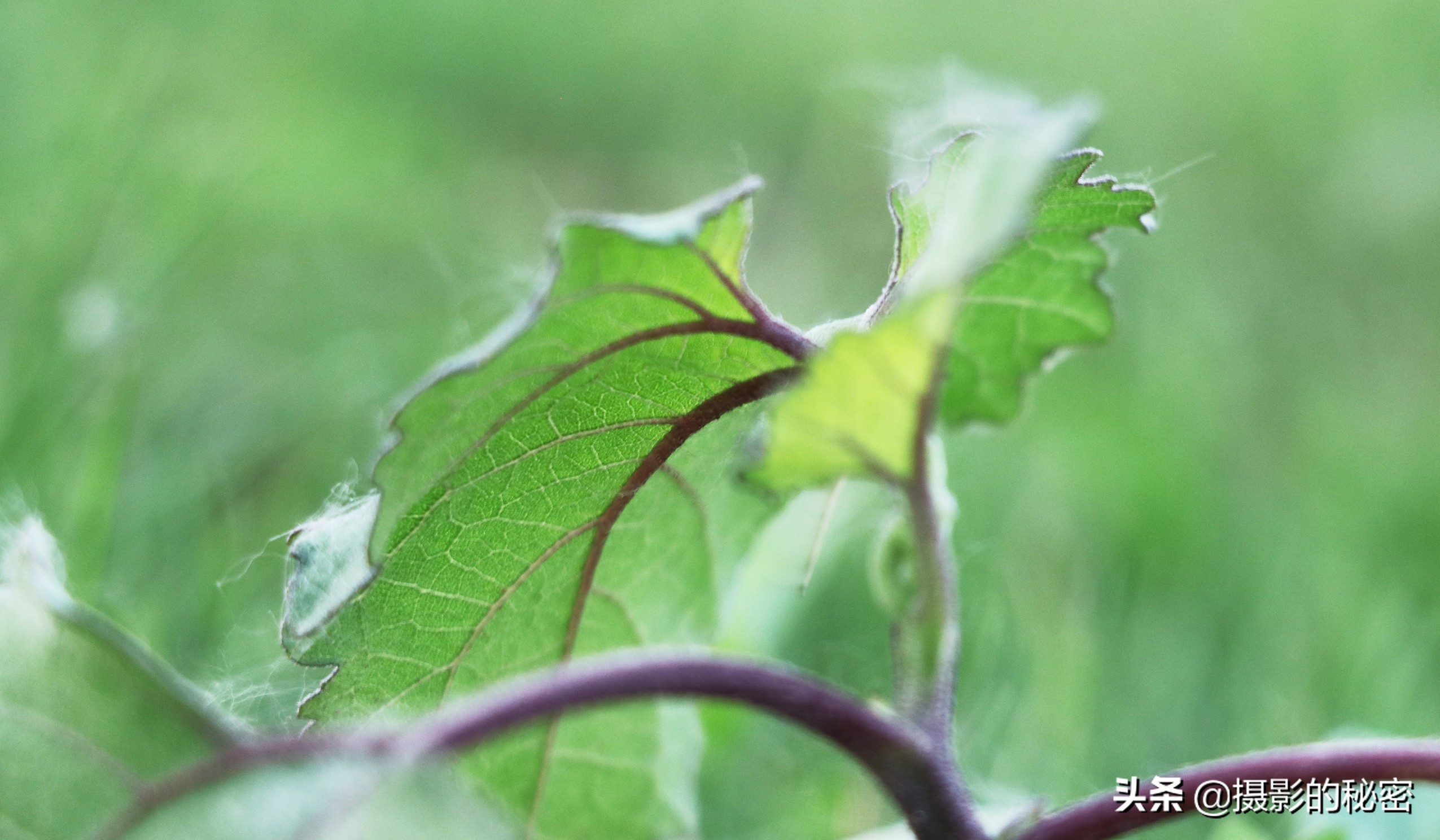 富图宝空气二号和空气三号,富图宝空气二号延时摄影