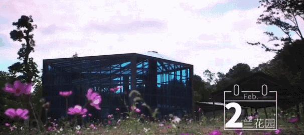 郑州春节周边景区免费景点大全,春节赏花的好去处