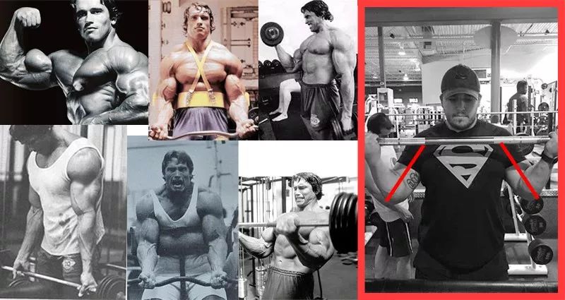 肱二头肌为什么不容易练大,苦练肱二头肌