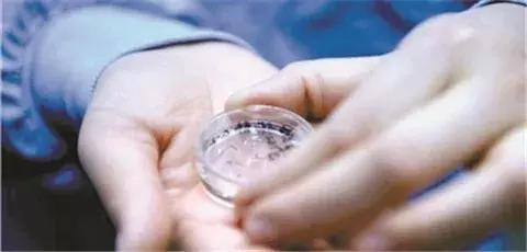 徐静蕾的小孩,徐静蕾是谁的儿子