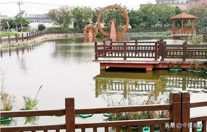 马銮湾对比海沧生活区,海沧马銮湾和临港新城