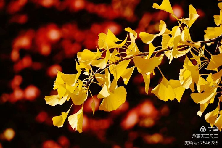 玉泉山北坞公园介绍,北坞村玉泉山