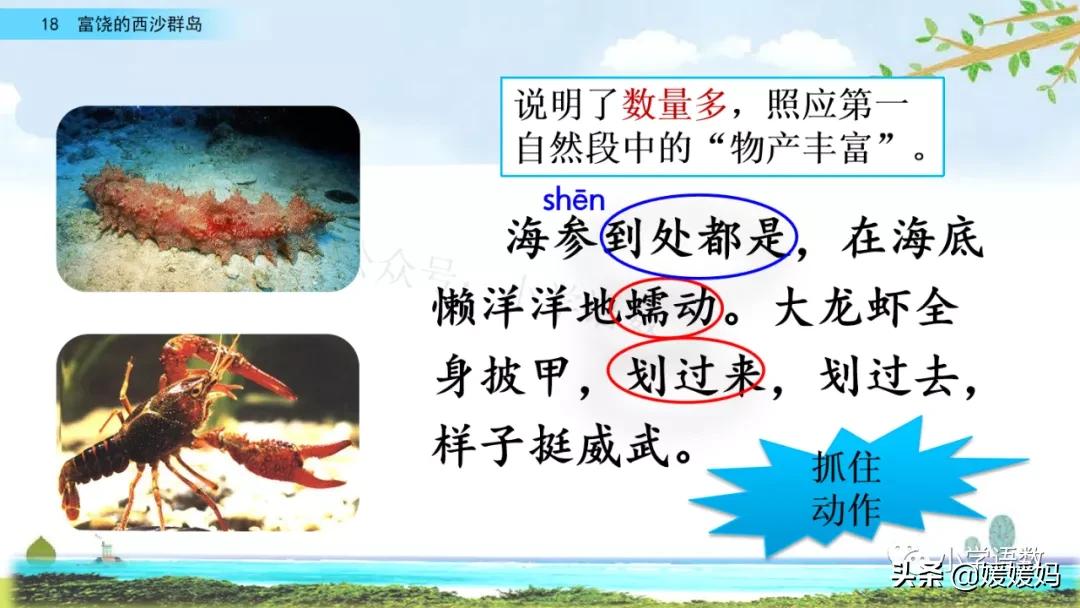 三年级第18课富饶的西沙群岛预习,3年级语文第18课富饶的西沙群岛