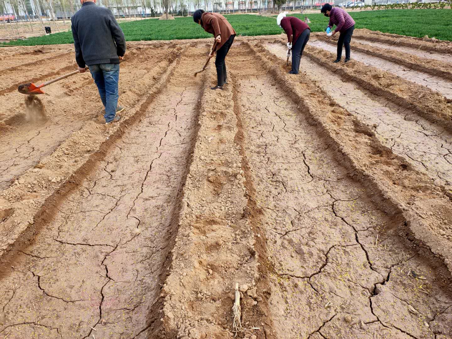 鸡泽龙泉疫情防控,鸡泽县疫情防控