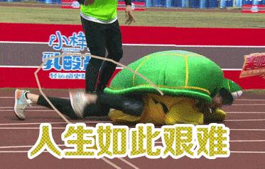 假的代购淘宝店铺怎么处罚商家,有过售假的淘宝店铺值得购买吗