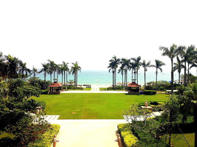 许书标和颜斌生产的红牛饮料,红牛创始人许书标秘书图片