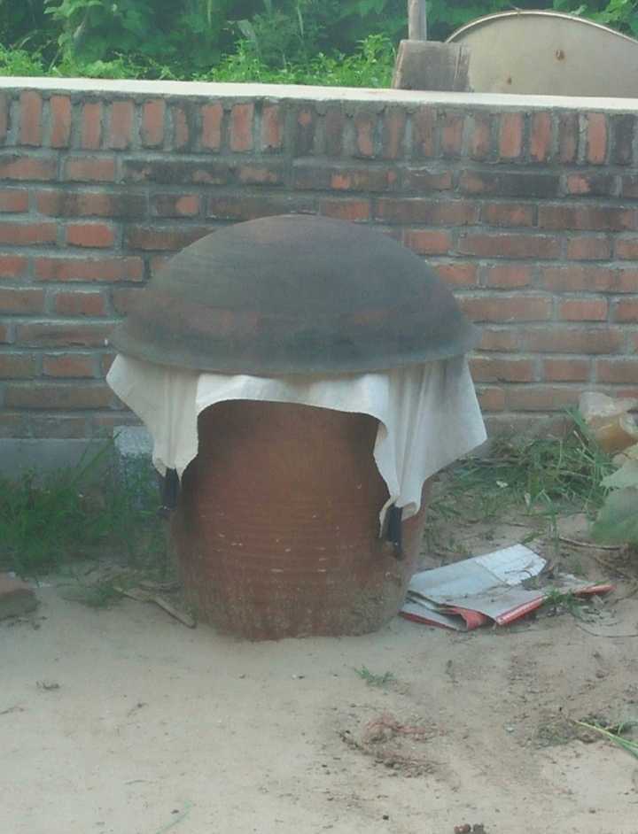 东北大酱块发酵全过程,东北大酱做法在线观看