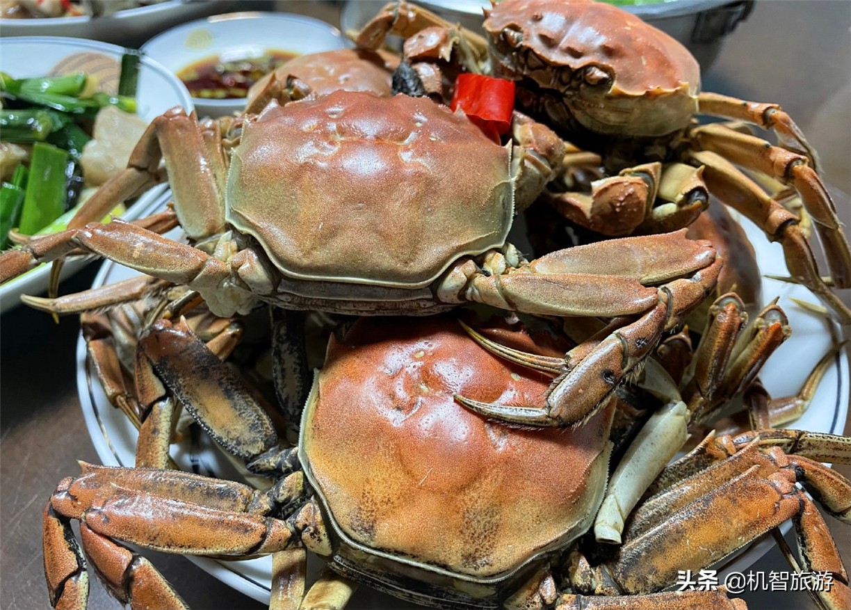 日照赶海攻略新手必看攻略,日照赶海攻略带盐