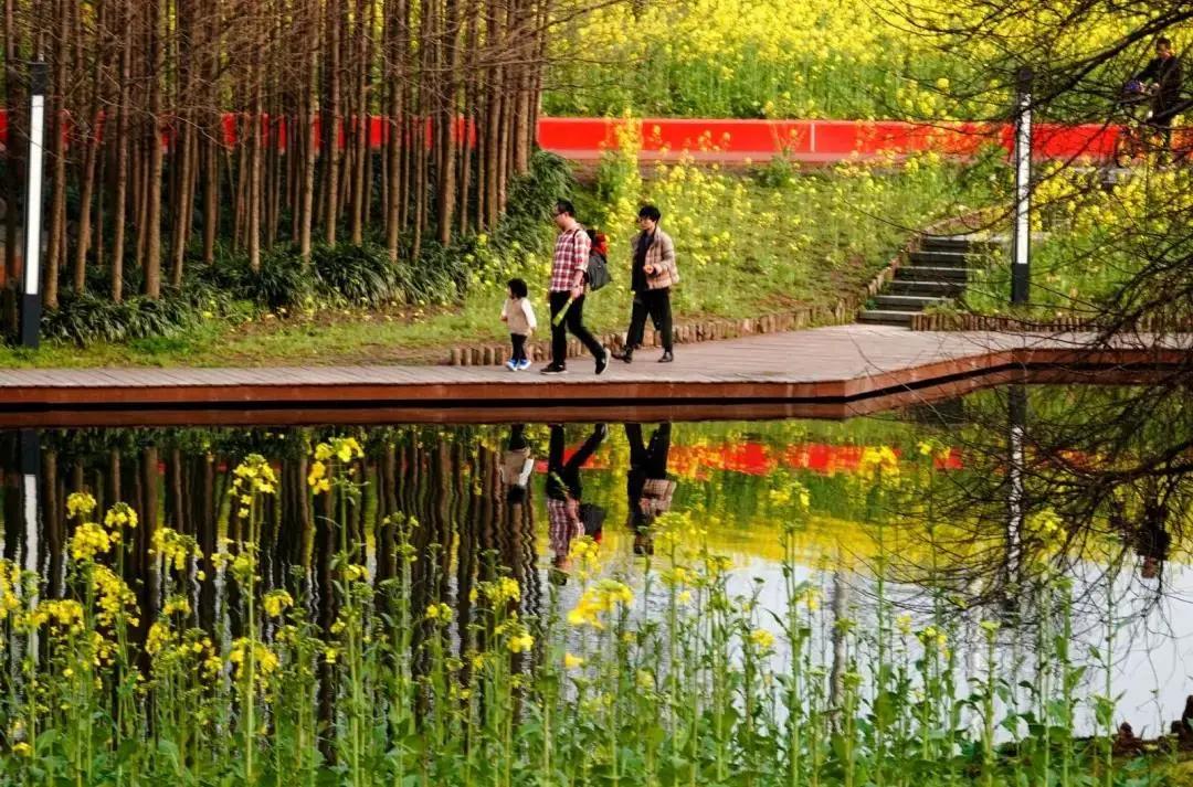 浦东滨江世博文化樱花公园,滨江道24小时不打烊