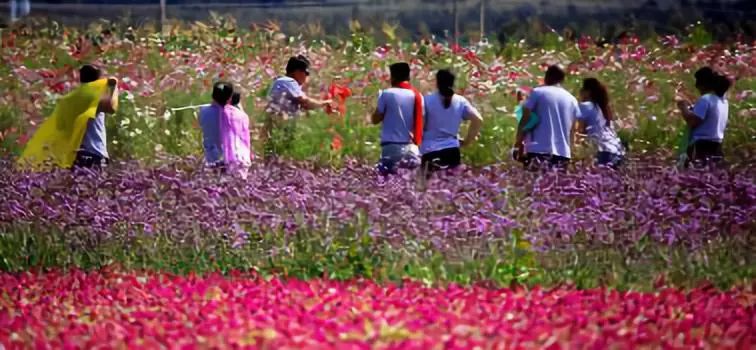 草原上的城市乌兰浩特,草原上升起不落的太阳夕阳正红