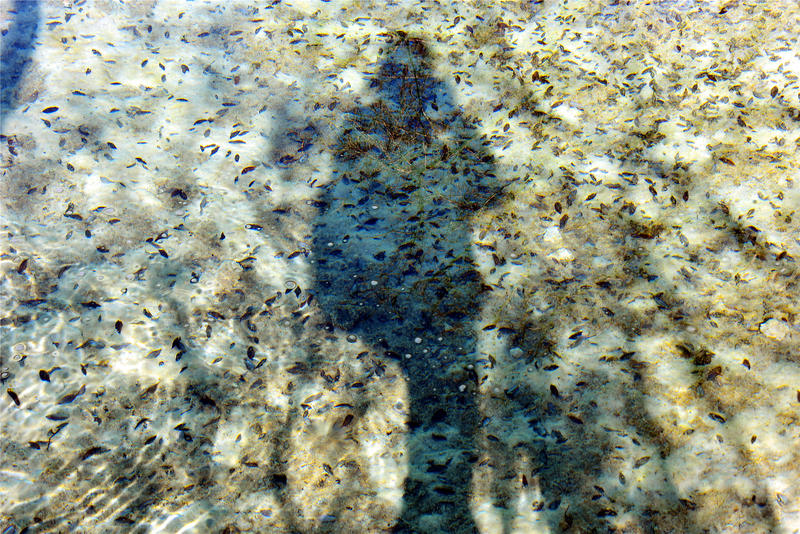 置身于童话中的九寨沟,畅游人间仙境黄龙九寨沟七日游