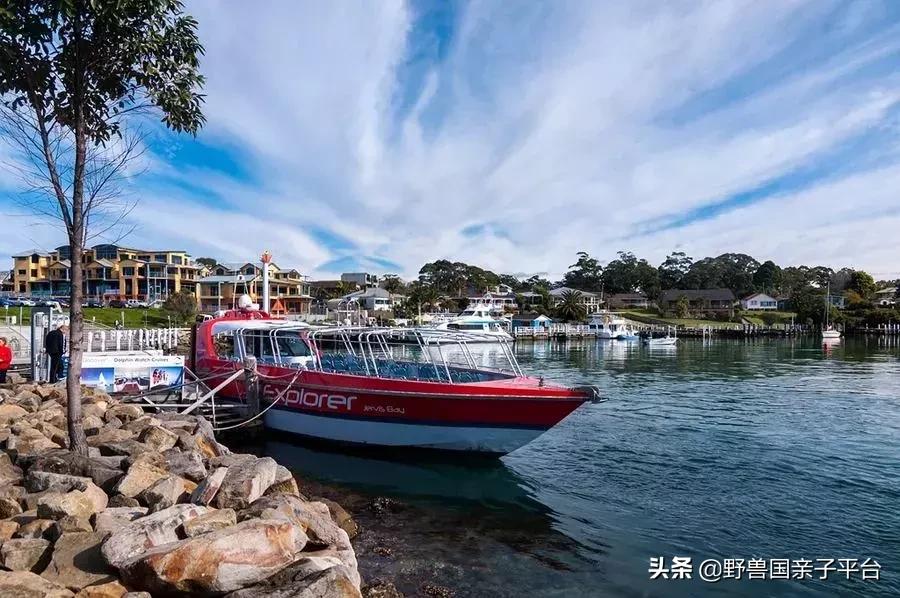 聪明妈妈给孩子的暑假计划,妈妈和孩子探讨暑假规划