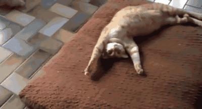 亲身经历过哪些坑,亲身经历致命骗局