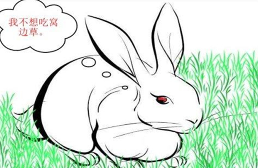 有一句广为流传的至理名言,一句广为流传的俗语