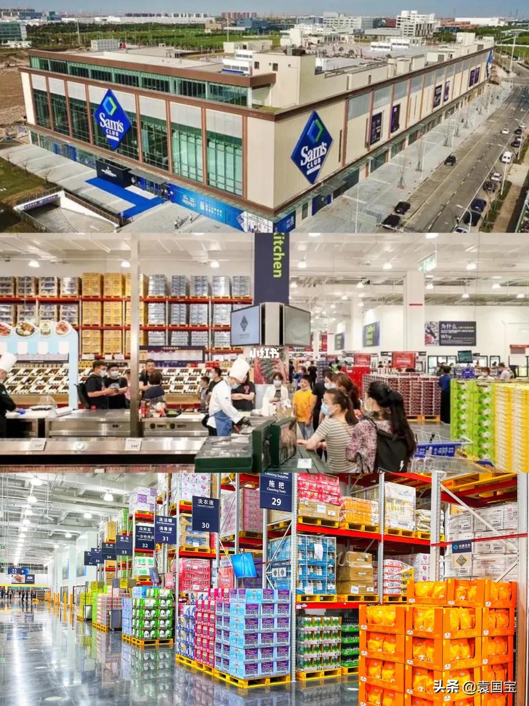 谁才是商朝的救世主,谁才是真救世主