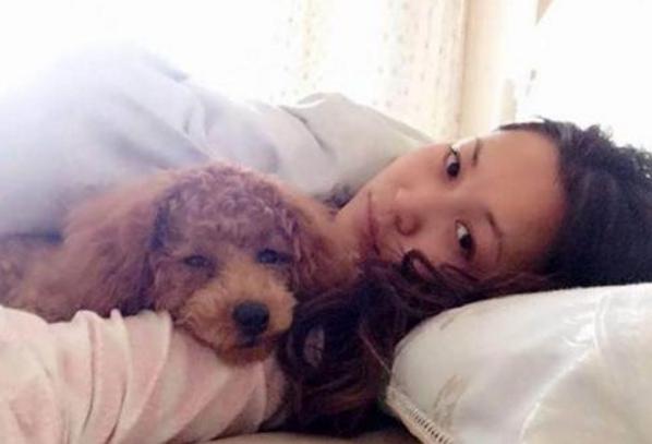 泰迪犬总是舔人嘴巴的5个原因，看完很暖心，别再责骂它了！