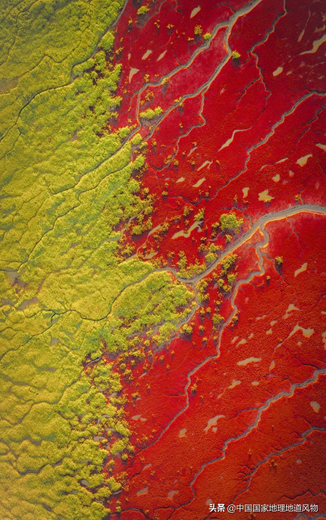 辽宁东北位置,东北的门户图片