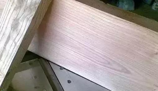 柴木是什么树种,柴木是什么