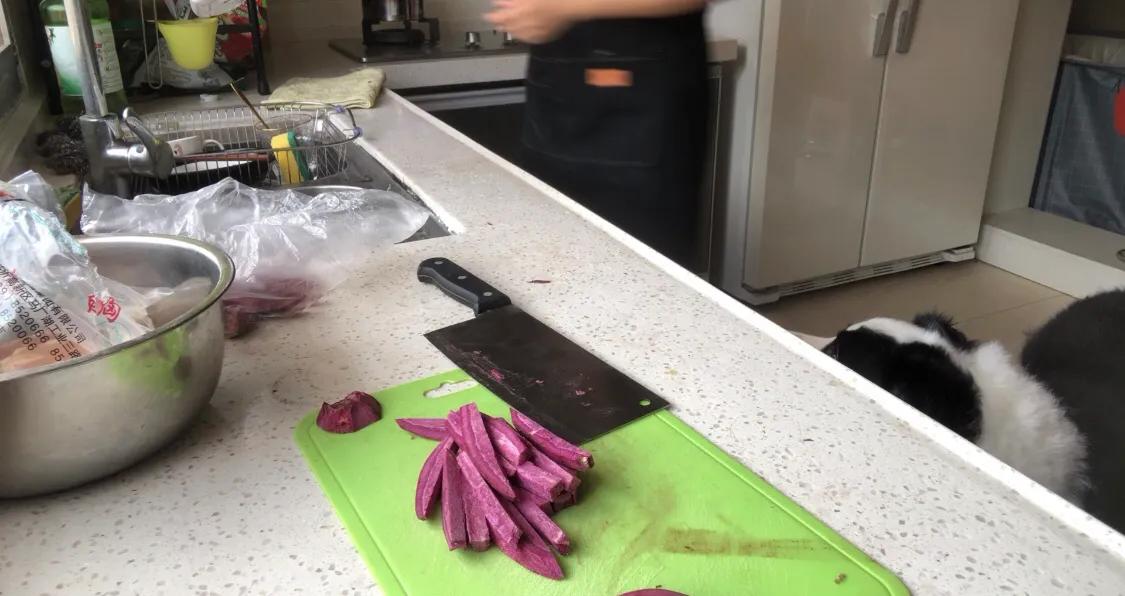 吸引汪星人最有效的方法,如何让你家狗狗不咬你