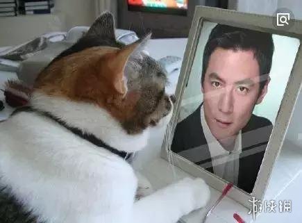 男神们都老了,吴彦祖赵本山对比照