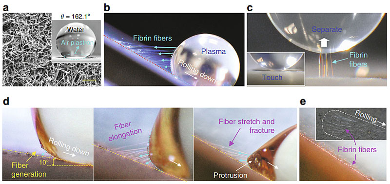医用防粘连纱布,医用即溶止血纱布图片