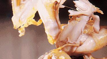 梅州到广州高铁票价,梅州至深圳高铁票价