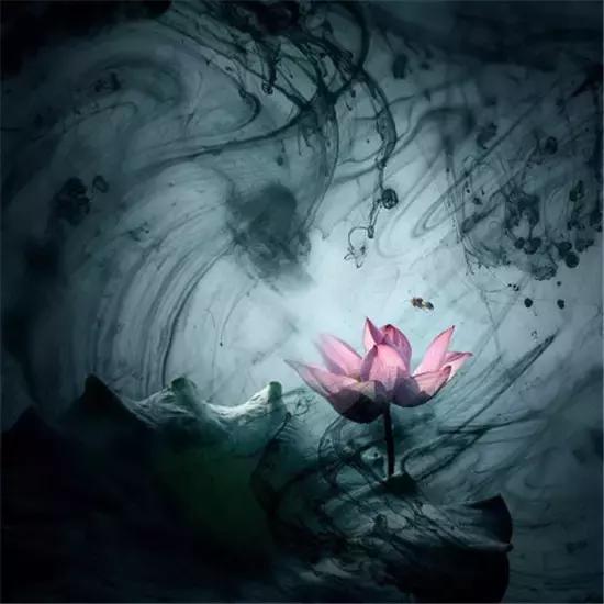 公文标题是指什么,公文标题的构成要素