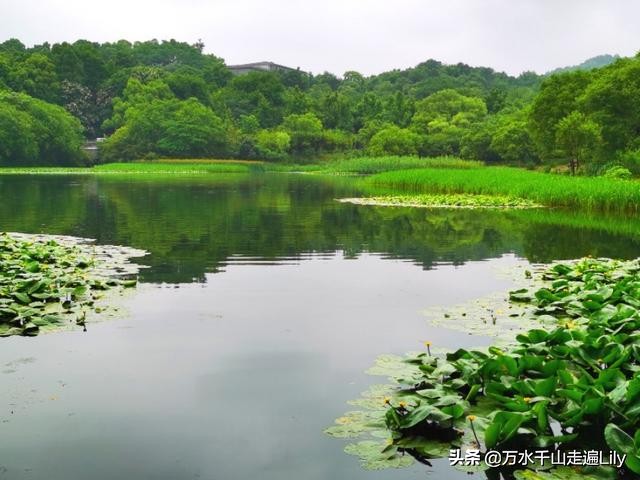 杭州不为人知的世外桃源,杭州幽静的去处