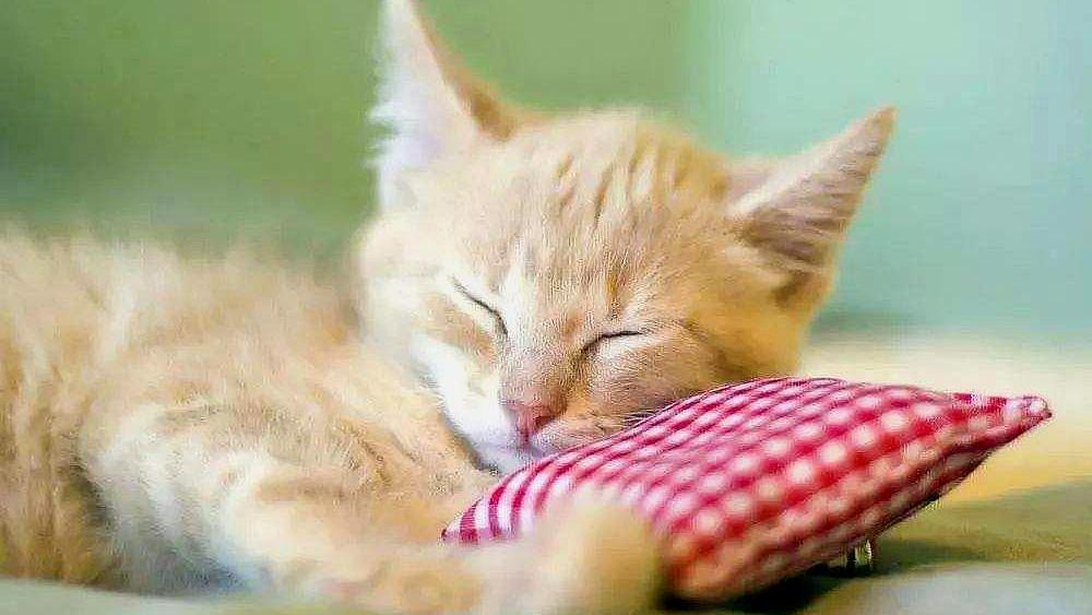 考研酒店从哪一天开始订,考研有必要早订酒店吗