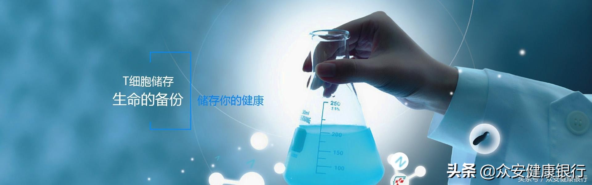 端粒的研究属于哪个方面,端粒体研究突破