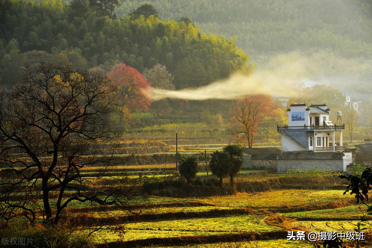摄影构图三大禁忌,摄影构图常犯的错误新手必须谨慎
