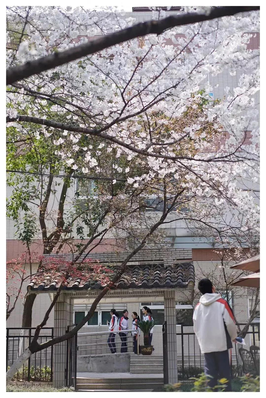 江苏南京外国语学校,南京外国语学校高二五班