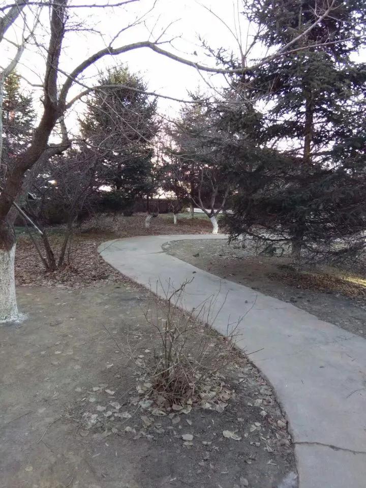 人临死前为什么会净肠,老人去世前都会净肠吗