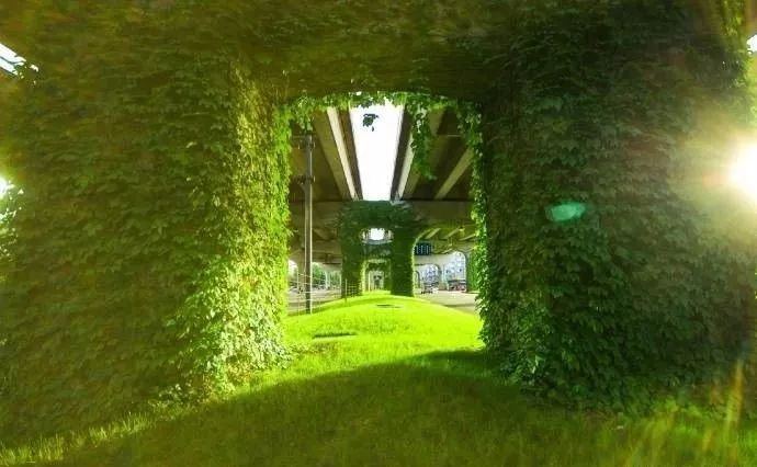 成都二环绿化,成都二环绿植视频