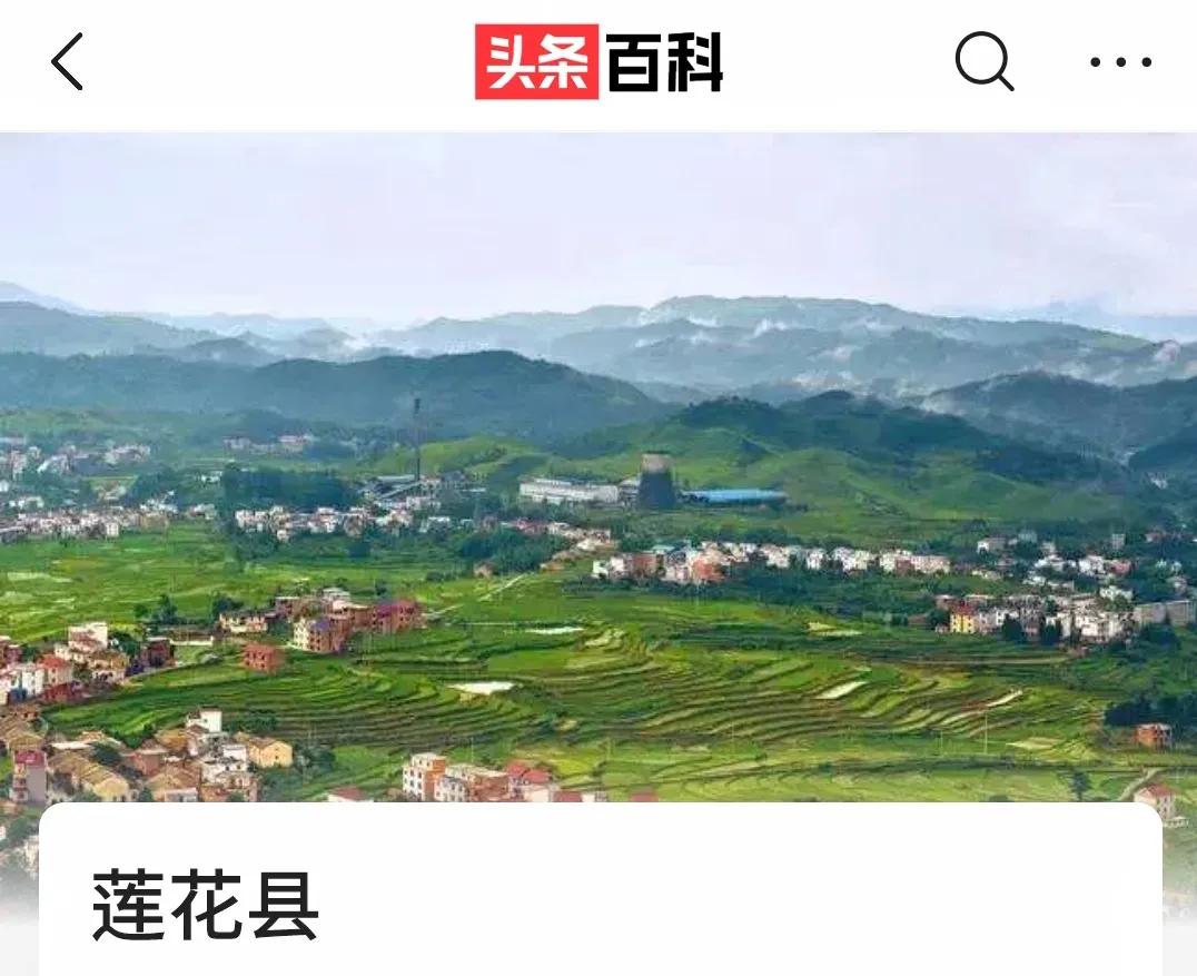 你会去莲花玩吗？我找到了3个“趣味点”，玩了一次跟着喜欢走