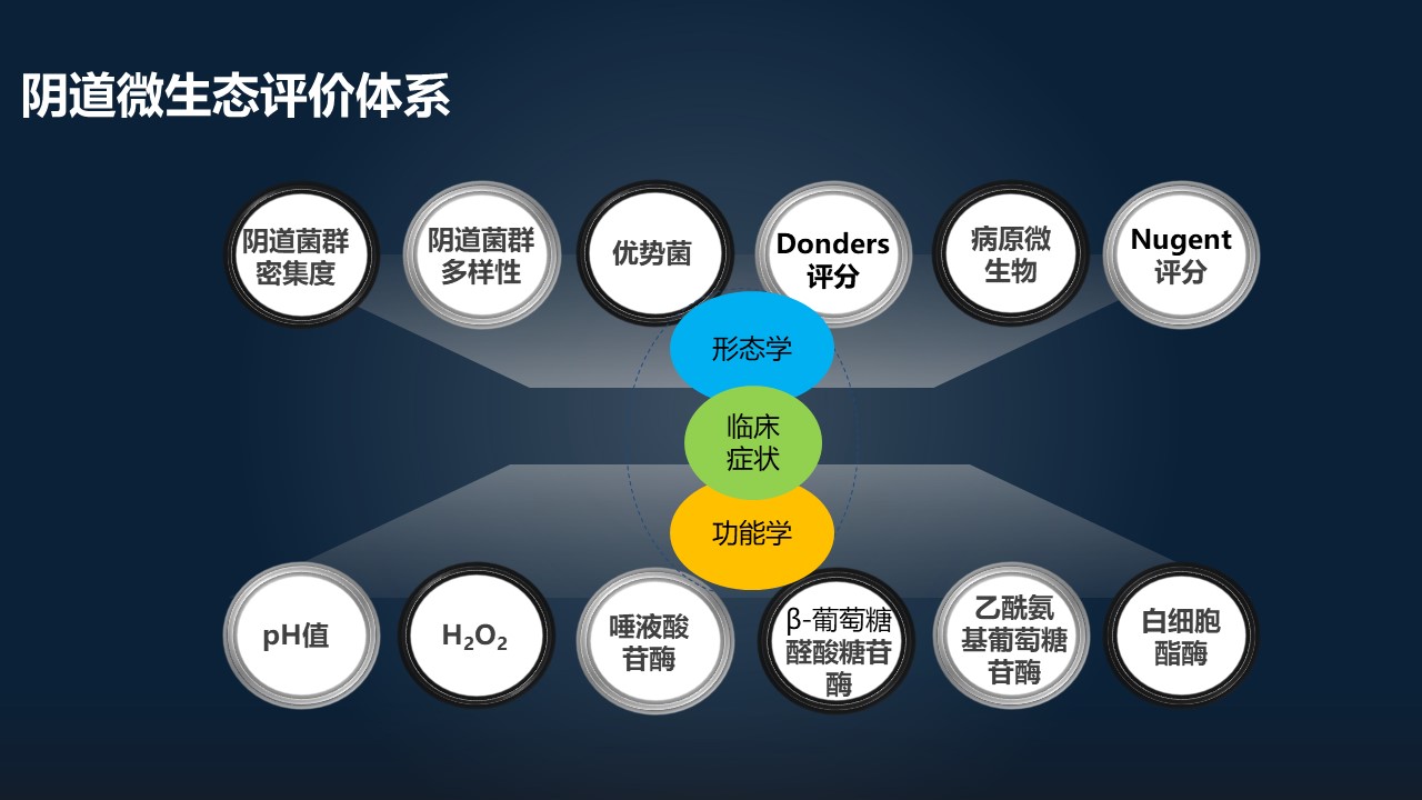 肖冰冰,肖冰冰的创作