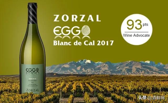 一瓶真正的自然酒的诞生丨Zorzal酒庄专访