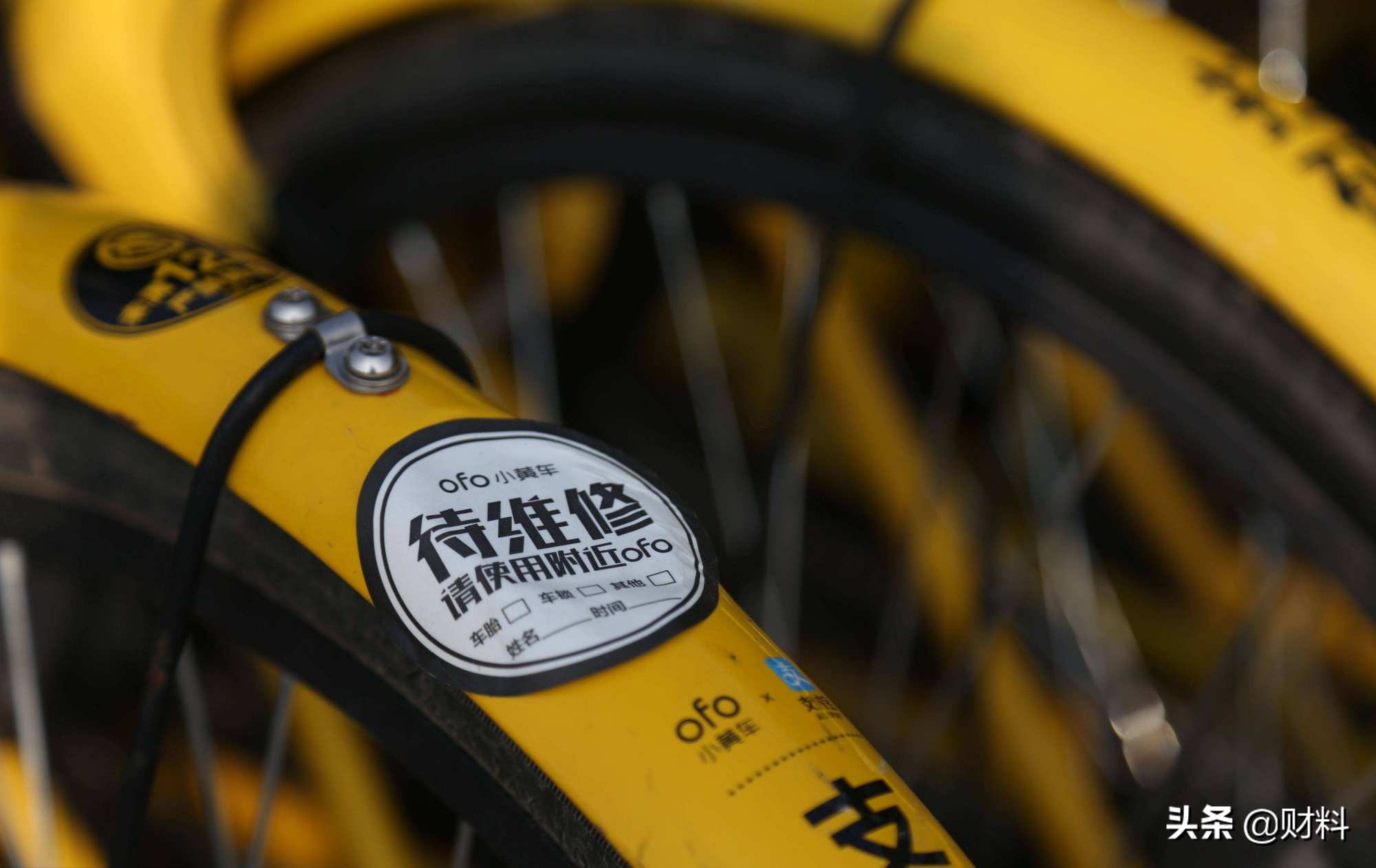 ofo小黄车最新消息,ofo小黄车消失后又出现了什么